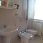 La Pianta