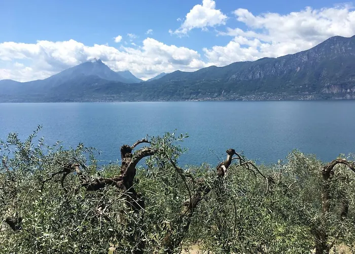 La Pianta Apartman *