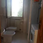La Pianta